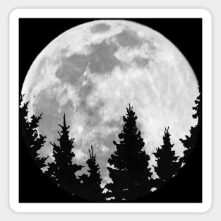 Full Moon and Redwoods Sticker